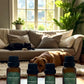 Comfort Zone for Dogs- 舒適區狗狗專用天然香薰精油