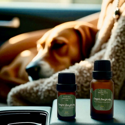 Cloud 9 portable Aroma Diffuser☁️